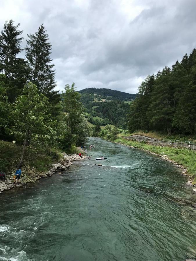 Wohlfuehlpension Kreischberg Inklusive Murau Sommergaestecard Ab 2 Naechte Санкт-Георген-об-Мурау Экстерьер фото