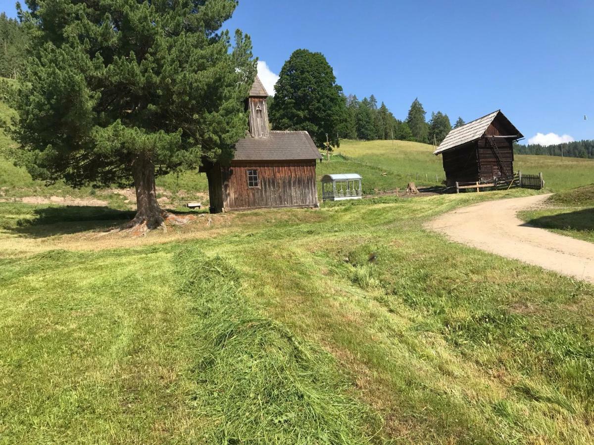 Wohlfuehlpension Kreischberg Inklusive Murau Sommergaestecard Ab 2 Naechte Санкт-Георген-об-Мурау Экстерьер фото