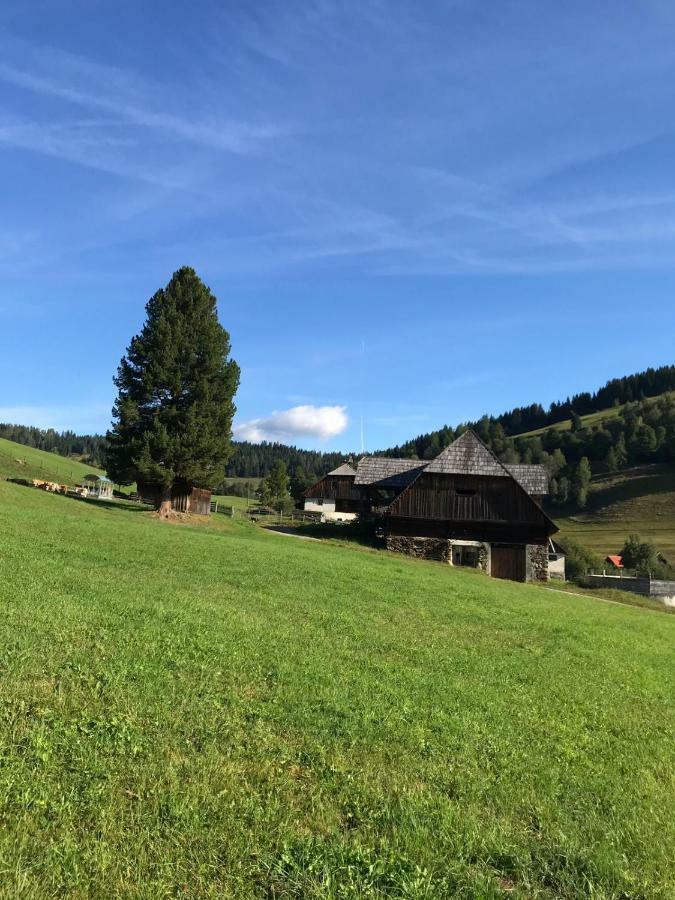 Wohlfuehlpension Kreischberg Inklusive Murau Sommergaestecard Ab 2 Naechte Санкт-Георген-об-Мурау Экстерьер фото